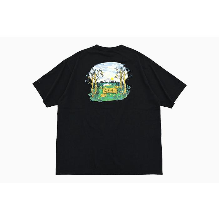 Columbia（コロンビア） Tシャツ 半袖 メンズ サンダー マウンテン