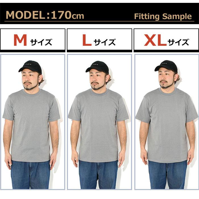 Hanes（ヘインズ） Tシャツ 杢 MOKU 半袖 メンズ レディース モク ワン