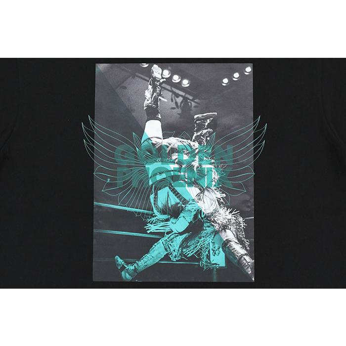 スターダム　オフィシャルDVD コレクション　3枚セット Amazon.co.jp: スターダム オフィシャルDVDコレクション STARDOM