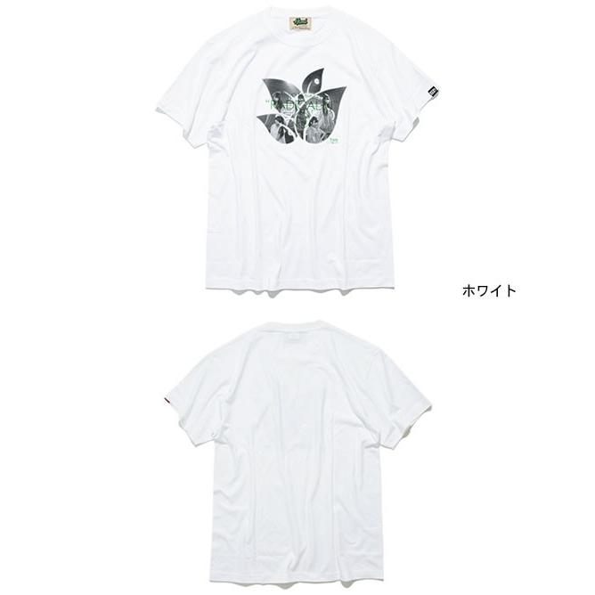 エイチティエムエル ゼロスリー Tシャツ 半袖 HTML ZERO3 君の隣のラジかるん トリプル カラー グリーナリー(HTML-T583) | HTML03 | 01