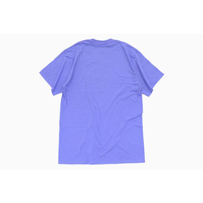 HUF ハフ Tシャツ 半袖 メンズ フォイル フラワー ボックス ロゴ