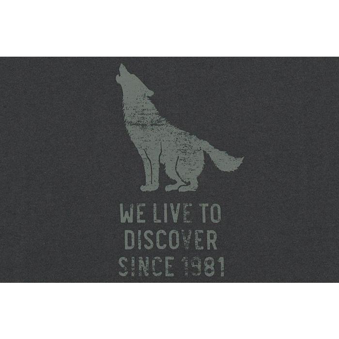 Jack Wolfskin（ジャックウルフスキン） Tシャツ 半袖 メンズ