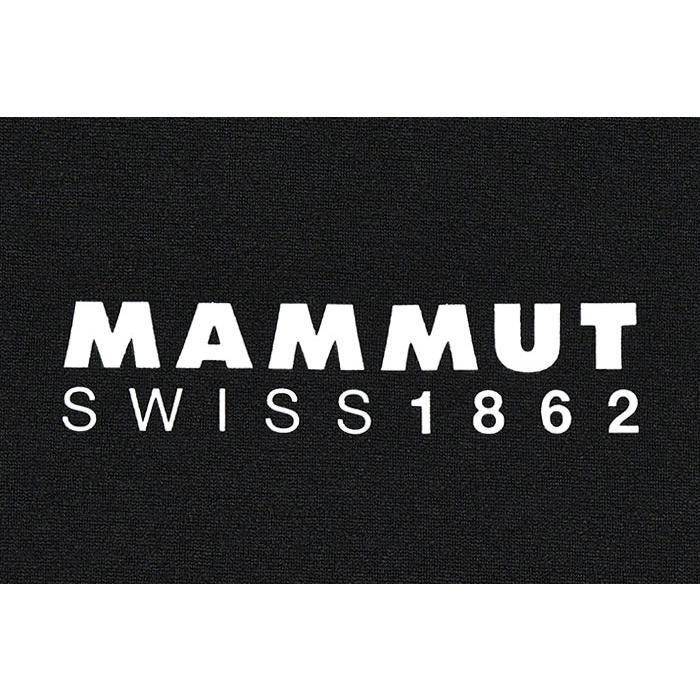 マムート Tシャツ 半袖 MAMMUT メンズ QD ロゴ プリント ( QD Logo Print S/S Tee カットソー トップス 1017-02012 )[M便 1/1]｜icefield｜19