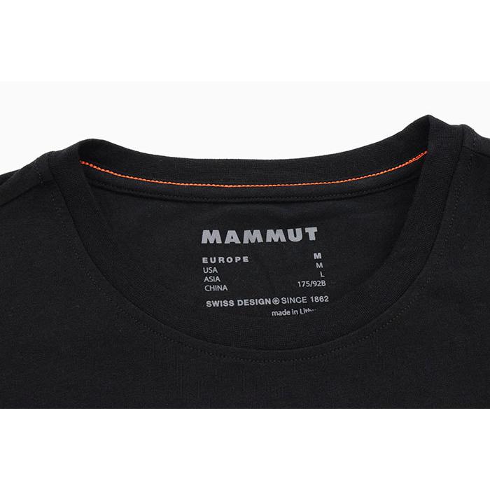 マムート Tシャツ 半袖 MAMMUT メンズ ネーションズ mammut Nations S/S Tee T-SHIRTS カットソー トップス  アウトドア 登山 1017-02220 )[M便 1/1] :MAM-1017-02220:ice field 通販 