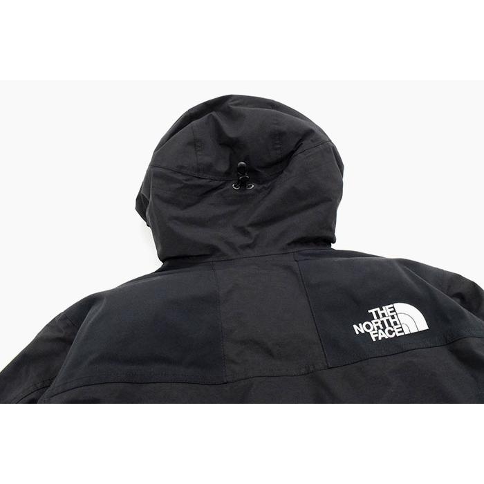 ザ ノースフェイス ジャケット THE NORTH FACE メンズ 21FW マウンテン ダウン(21FW Mountain Down JKT 2021秋冬 GORE-TEX ND91930 国内正規)｜icefield｜21