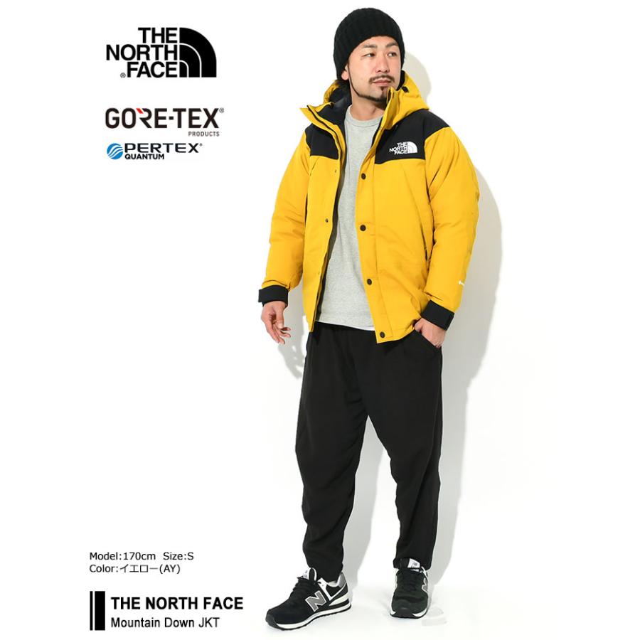 ザ ノースフェイス ジャケット THE NORTH FACE メンズ 21FW マウンテン ダウン(21FW Mountain Down JKT 2021秋冬 GORE-TEX ND91930 国内正規)｜icefield｜04