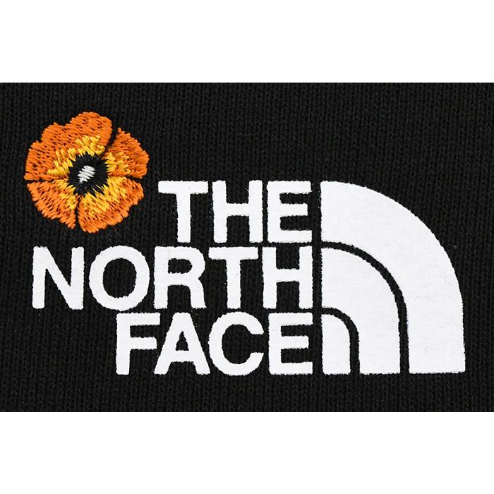 THE NORTH FACE（ザ ノースフェイス） パーカー プルオーバー メンズ