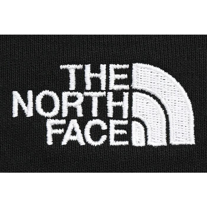 ザ ノースフェイス パーカー プルオーバー THE NORTH FACE メンズ 24SS ネバー ストップ アイエヌジー ( Never Stop ING Hoodie 2024春夏 NT12443 国内正規 )｜icefield｜09