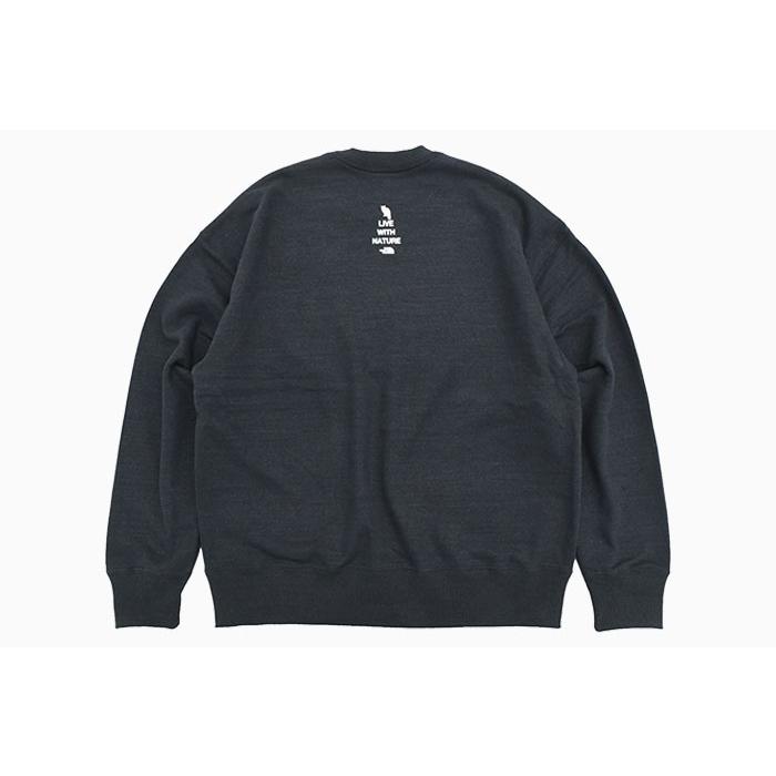 THE NORTH FACE ザ・ノース・フェイス トレーナー メンズ 25SS THE NORTH FACE ザ・ノース・フェイス トレーナー メンズ 25SS