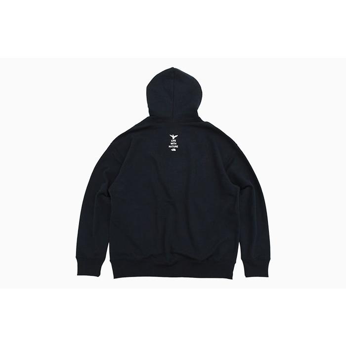 THE NORTH FACE（ザ ノースフェイス） パーカー プルオーバー メンズ