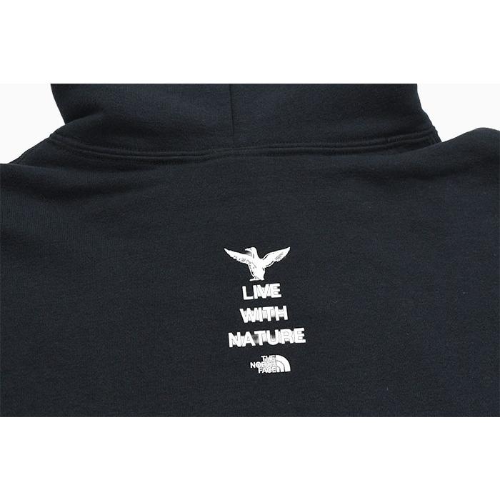 THE NORTH FACE（ザ ノースフェイス） パーカー プルオーバー メンズ