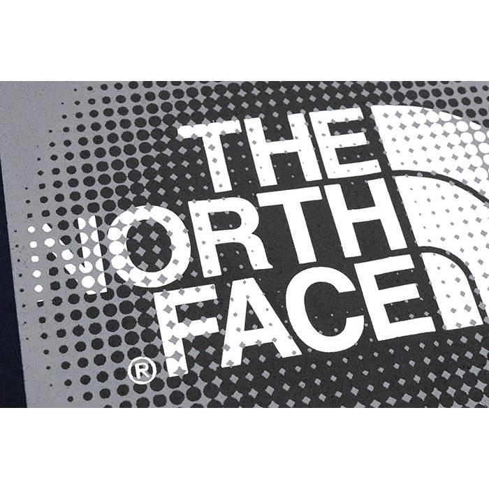 ザ ノースフェイス Tシャツ 半袖 THE NORTH FACE メンズ ドット サークル ( Dot Circle S/S Tee T-SHIRTS カットソー トップス NT32016 )｜icefield｜10