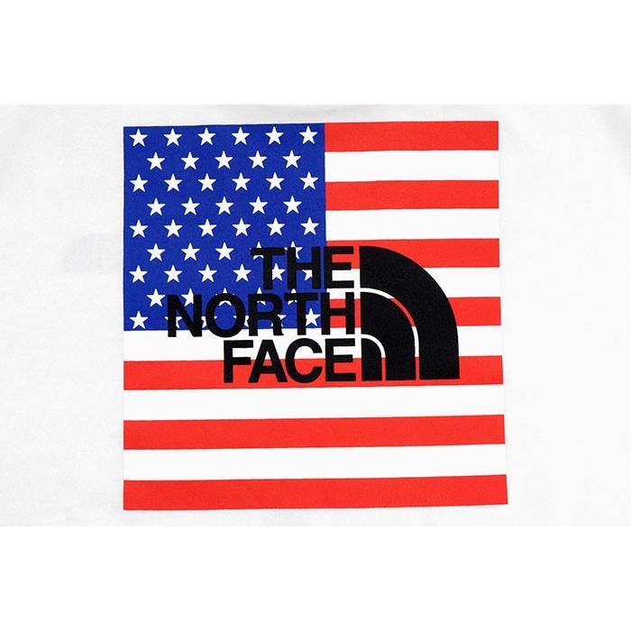 ザ ノースフェイス Tシャツ 半袖 THE NORTH FACE メンズ ナショナル 