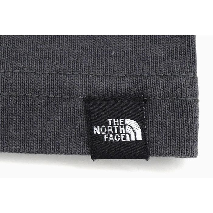 ザ ノースフェイス Tシャツ 半袖 THE NORTH FACE メンズ ヘビー コットン ( Heavy Cotton S/S Tee 2022春夏 カットソー NT32245 国内正規 )｜icefield｜09