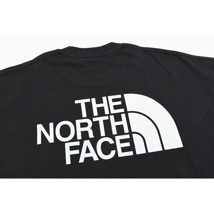 ザ ノースフェイス Tシャツ 半袖 THE NORTH FACE メンズ シンプル カラー スキーム ( Simple Color Scheme S/S Tee 2024春夏 NT32434 国内正規 )[M便 1/1]｜icefield｜11