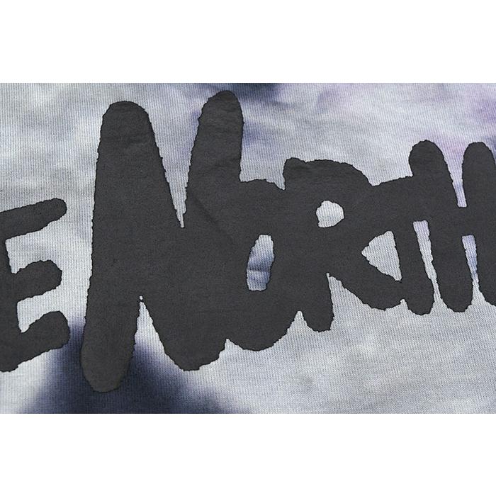THE NORTH FACE（ザ ノースフェイス） Tシャツ 半袖 メンズ タイダイ