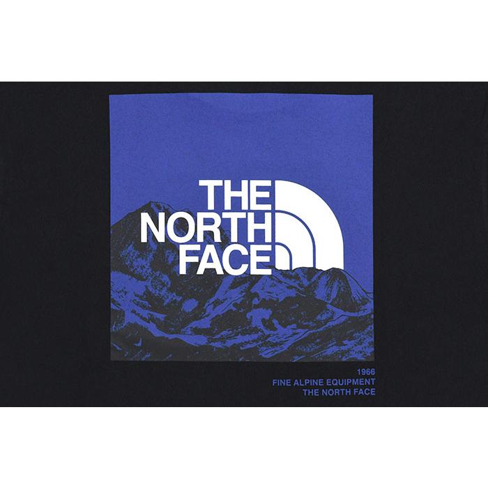 ザ ノースフェイス ロンT Tシャツ 長袖 THE NORTH FACE メンズ スリーブ グラフィック ( Sleeve Graphic L/S Tee 2024春夏 カットソー NT32438 国内正規 )｜icefield｜14