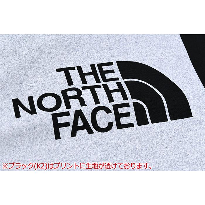 THE NORTH FACE（ザ ノースフェイス） ロンT Tシャツ 長袖 メンズ