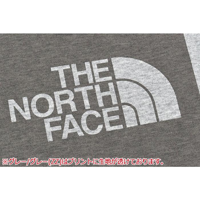 THE NORTH FACE（ザ ノースフェイス） ロンT Tシャツ 長袖 メンズ