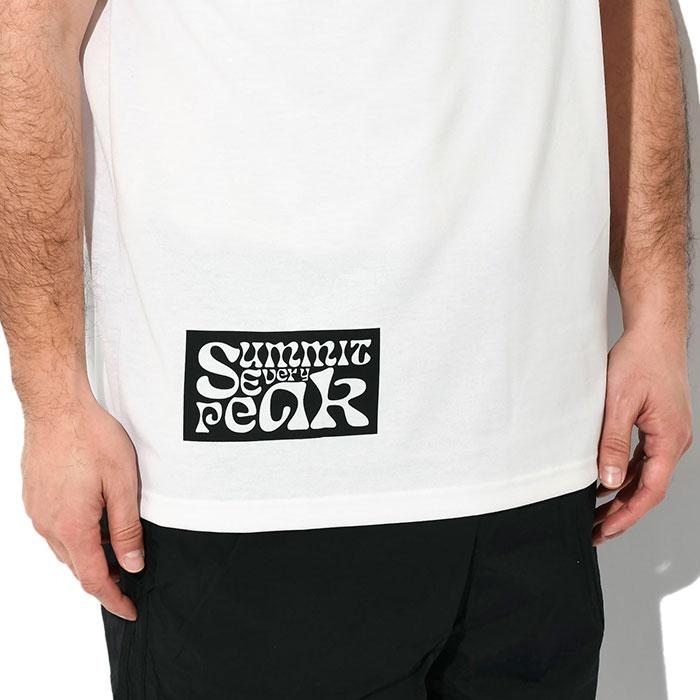 THE NORTH FACE（ザ ノースフェイス） Tシャツ 半袖 メンズ サミット