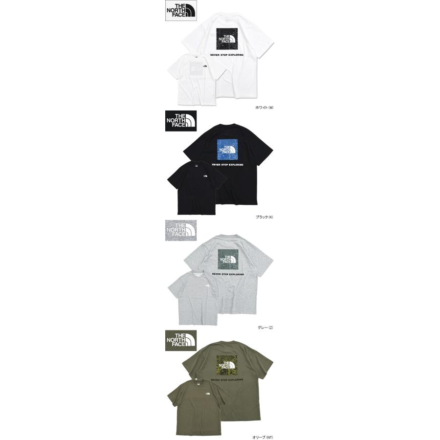 THE NORTH FACE（ザ ノースフェイス） Tシャツ 半袖 メンズ バック