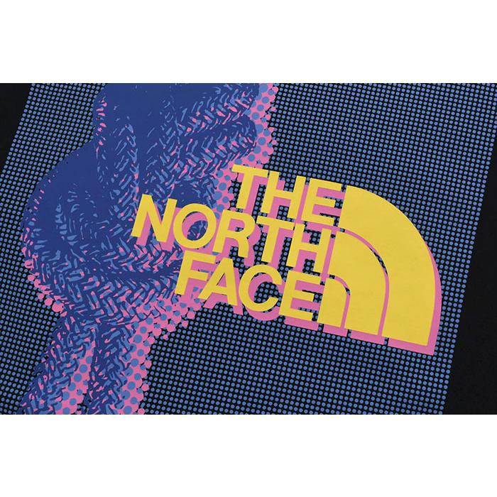 THE NORTH FACE（ザ ノースフェイス） Tシャツ 半袖 メンズ イーエス