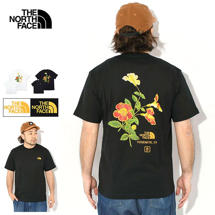 nor-nt32651