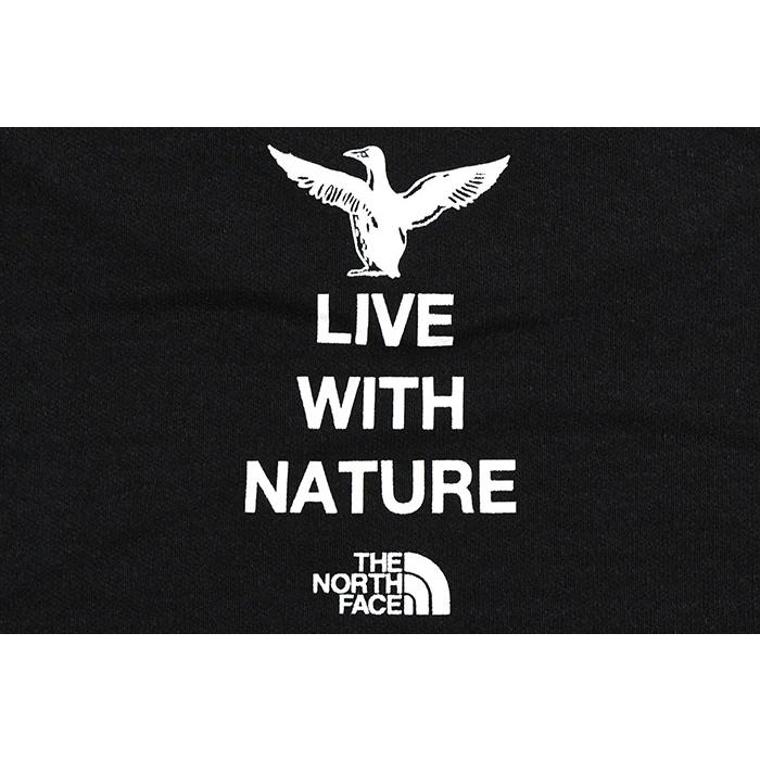 THE NORTH FACE（ザ ノースフェイス） ロンT Tシャツ 長袖 メンズ 26SS