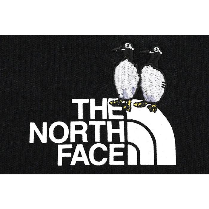 THE NORTH FACE（ザ ノースフェイス） Tシャツ 半袖 メンズ ズー