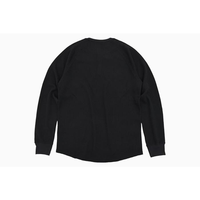 THE NORTH FACE（ザ ノースフェイス） カットソー 長袖 メンズ フリー
