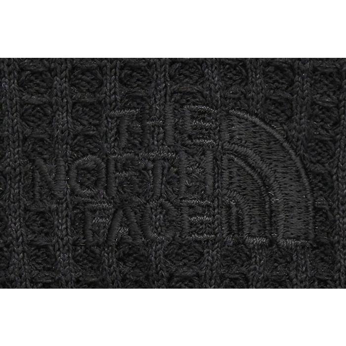 THE NORTH FACE（ザ ノースフェイス） カットソー 長袖 メンズ