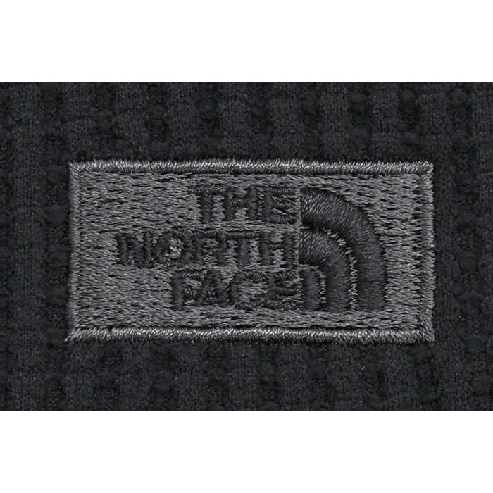 THE NORTH FACE（ザ ノースフェイス） パーカー プルオーバー メンズ