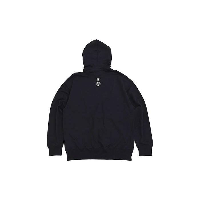 THE NORTH FACE（ザ ノースフェイス） パーカー プルオーバー メンズ