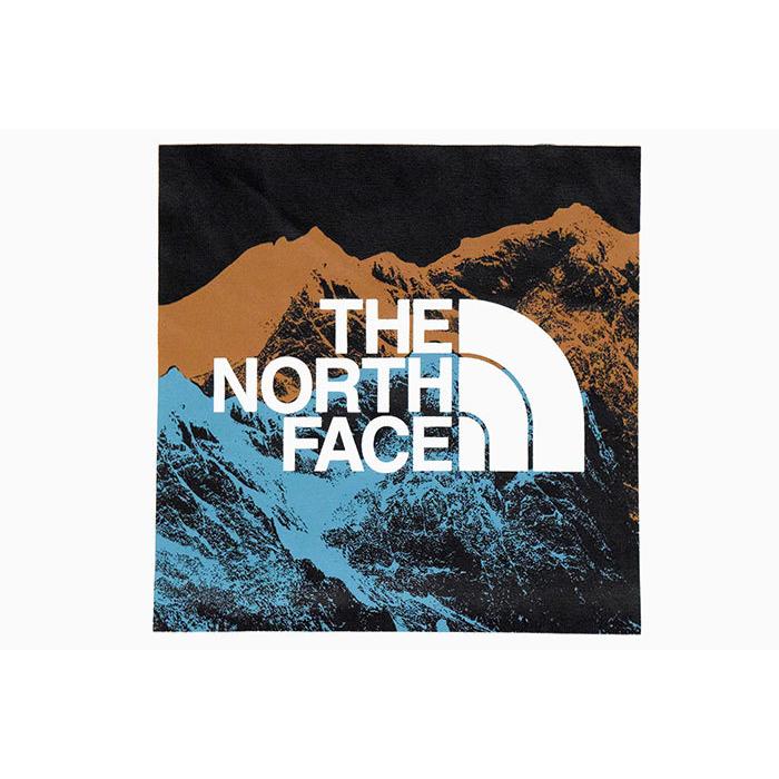 ザ ノースフェイス Tシャツ 長袖 The North Face メンズ デジタル ロゴ Digital Logo L S Tee 21秋冬 カットソー トップス Nt137 Nor Nt137 Ice Field 通販 Yahoo ショッピング