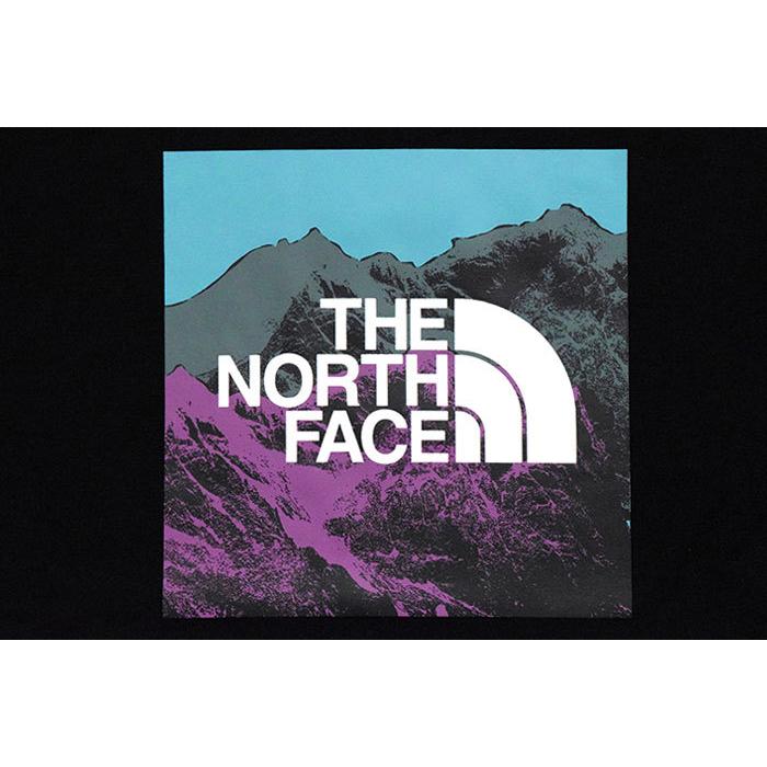 ザ ノースフェイス Tシャツ 長袖 THE NORTH FACE メンズ デジタル ロゴ ( Digital Logo L/S Tee 2021秋冬 カットソー トップス NT82137 )｜icefield｜09