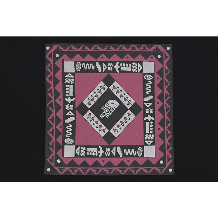 THE NORTH FACE（ザ ノースフェイス） Tシャツ 半袖 メンズ レトロ