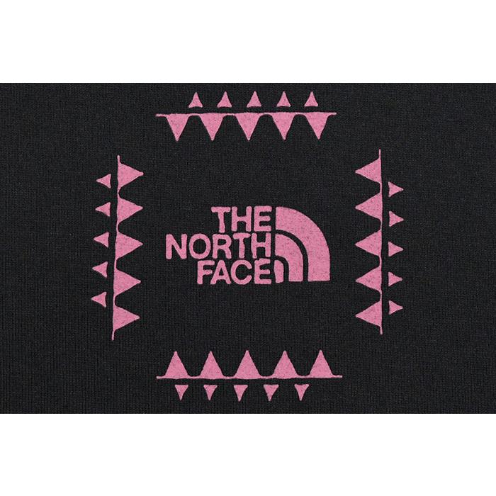 THE NORTH FACE（ザ ノースフェイス） Tシャツ 半袖 メンズ レトロ
