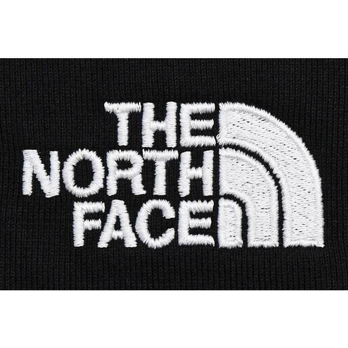 THE NORTH FACE（ザ ノースフェイス） シャツ 長袖 メンズ ラガー