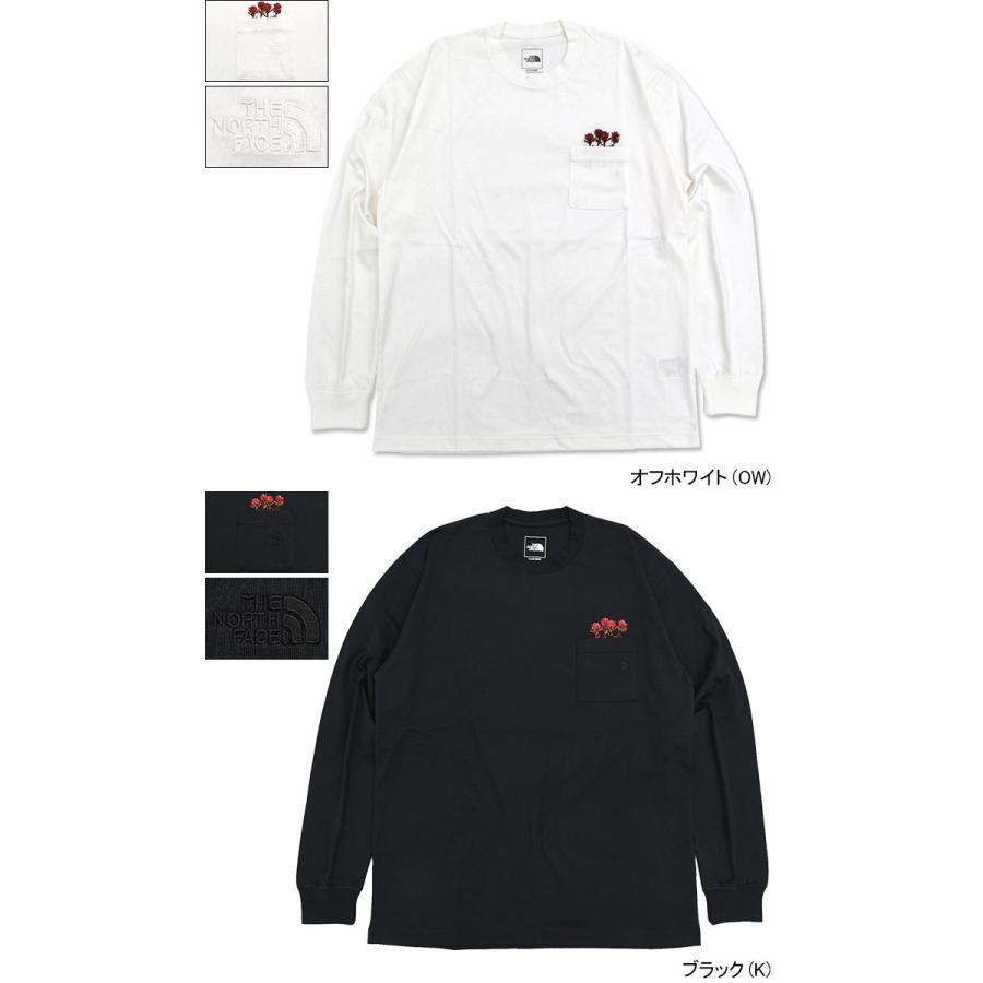 THE NORTH FACE ザ・ノース・フェイス ロンT Tシャツ 長袖