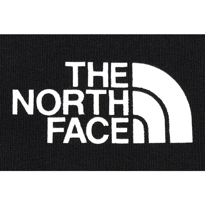 THE NORTH FACE（ザ ノースフェイス） Tシャツ 半袖 メンズ ファイン