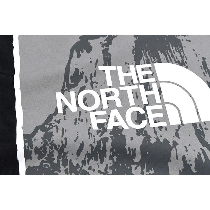 THE NORTH FACE（ザ ノースフェイス） Tシャツ 半袖 メンズ ハーフ