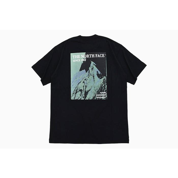 THE NORTH FACE（ザ ノースフェイス） Tシャツ 半袖 メンズ ロック