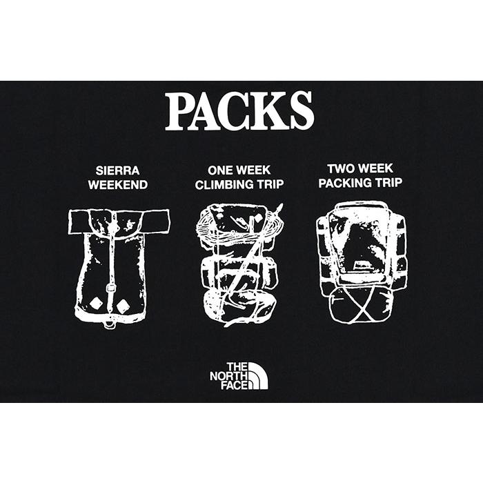 THE NORTH FACE（ザ ノースフェイス） Tシャツ 半袖 メンズ TNF パック