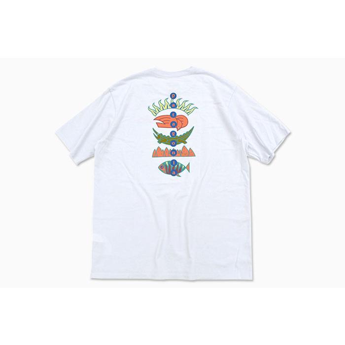 patagonia パタゴニア Tシャツ 半袖 Patagonia メンズ フィッツ patagonia パタゴニア Tシャツ 半袖 Patagonia メンズ フィッツ