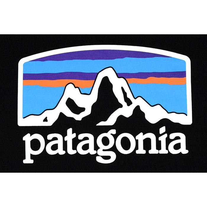 patagonia パタゴニア Tシャツ 半袖 Patagonia メンズ フィッツ patagonia パタゴニア Tシャツ 半袖 Patagonia メンズ フィッツ