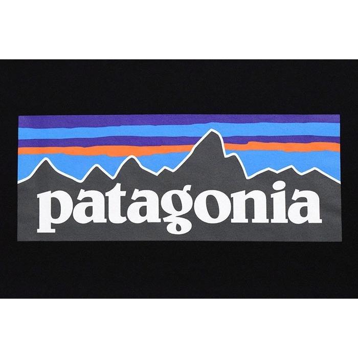 patagonia パタゴニア ロンT Tシャツ 長袖 Patagonia メンズ P-6
