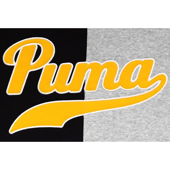 プーマ パーカー プルオーバー PUMA メンズ プーマ チーム カラー ブロック 限定 ( Puma Team Color Block Pullover Hoodie Limited 534310 )｜icefield｜08