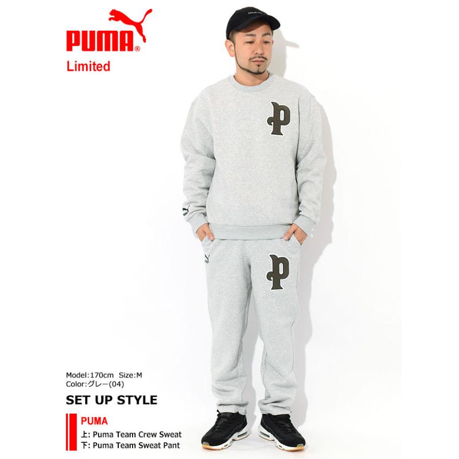 プーマ トレーナー Puma メンズ プーマ チーム クルー スウェット 限定 Puma Team Crew Sweat Limited スエット トップス 男性用 Pum Ice Field 通販 Yahoo ショッピング