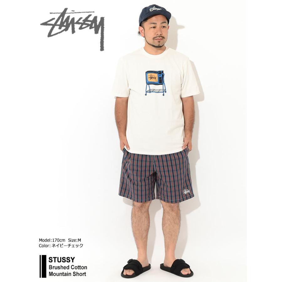 STUSSY（ステューシー） ハーフパンツ メンズ Brushed Cotton Mountain