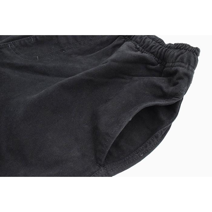 STUSSY（ステューシー） ハーフパンツ メンズ Brushed Beach ( stussy